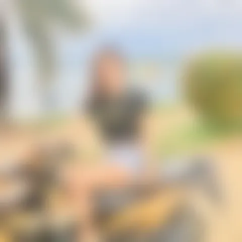 T********k