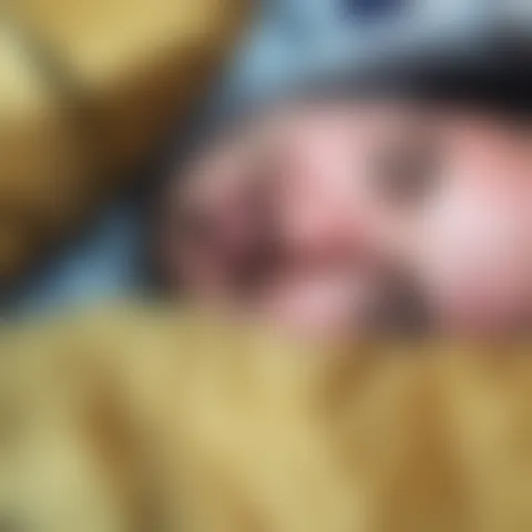 M********e