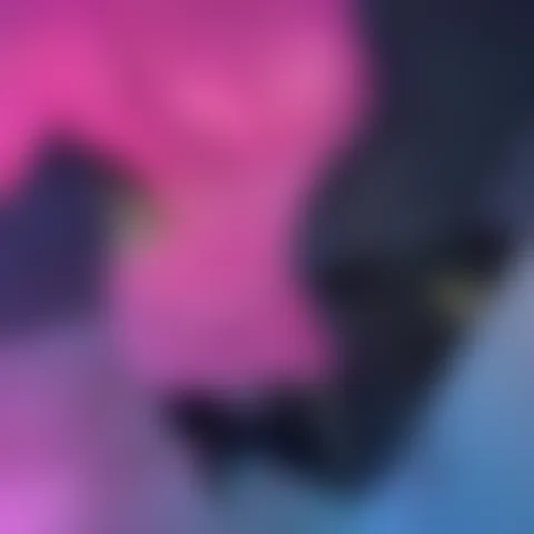 V******a