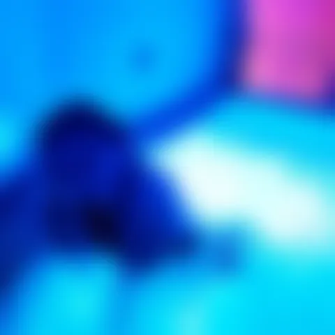 B*********a