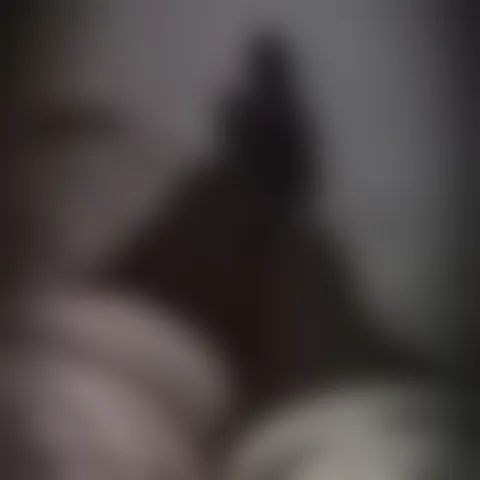 R*******e