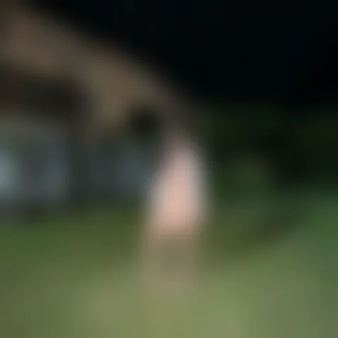 R********t