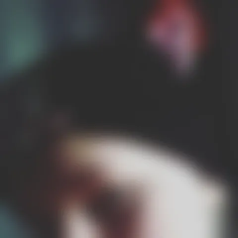 R*******r