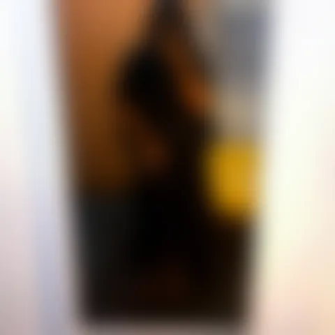 I****y