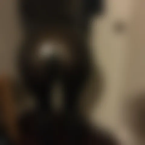 N******************s