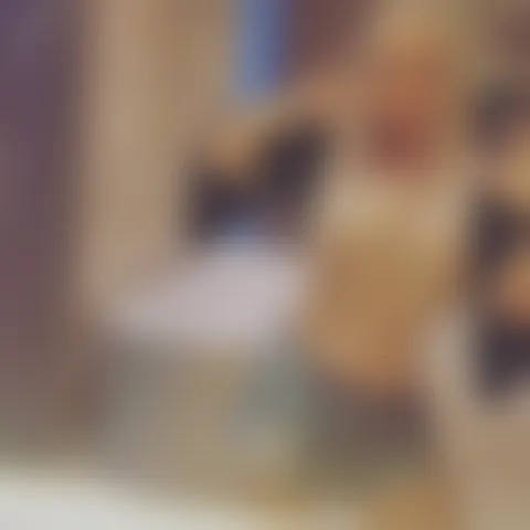 R****h