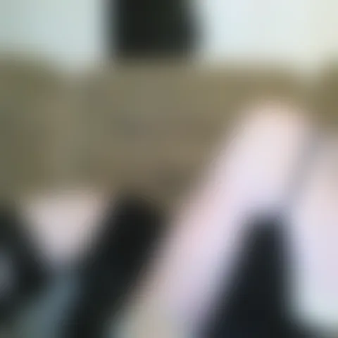 E**********o