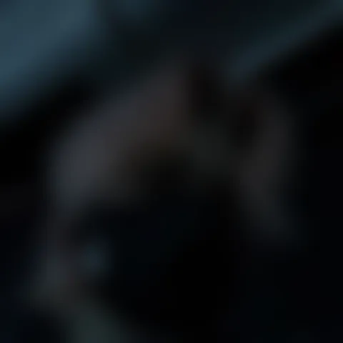 S*********e