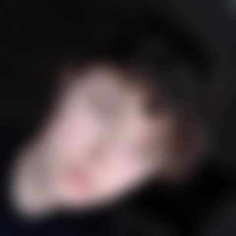 S***e