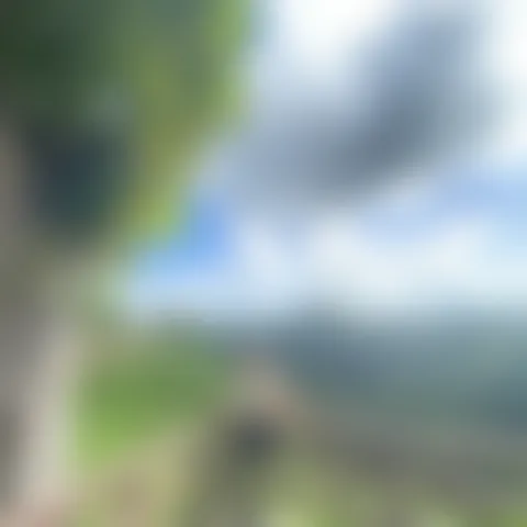 P********i