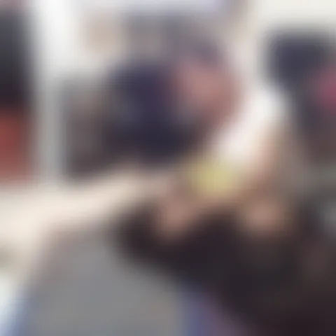 B************s