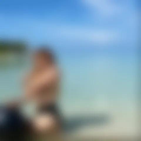 T****a