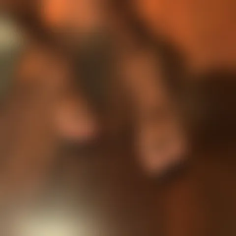 T****e