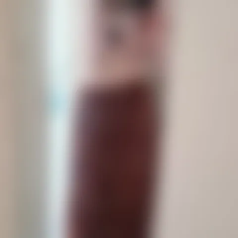 J***********a