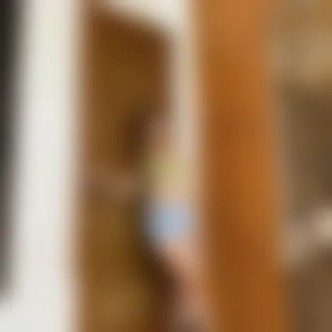 T*******y