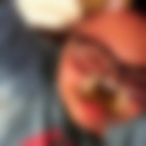 D****i