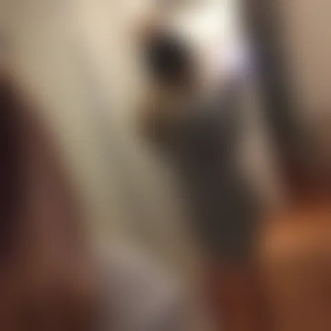 B****y