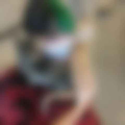 M******-