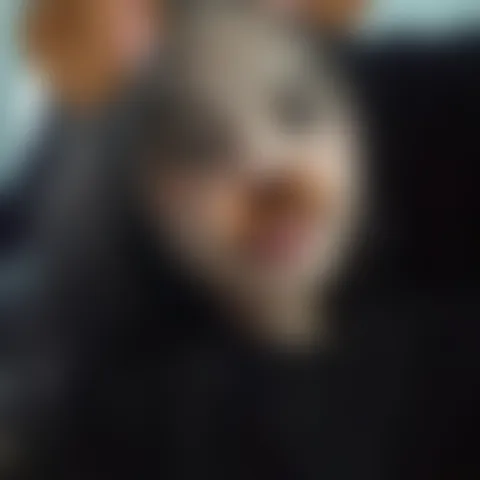 J****h