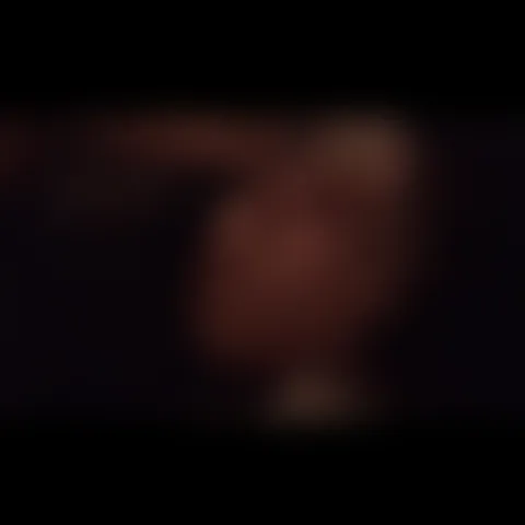 L********a