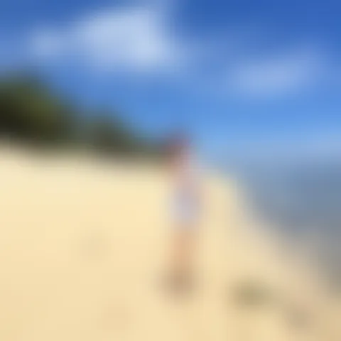 D***************s