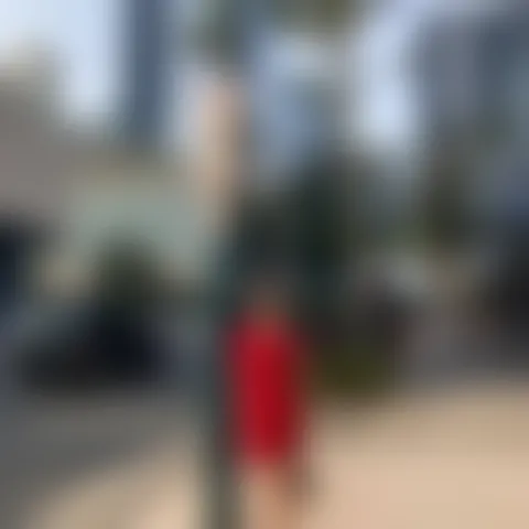 S****a