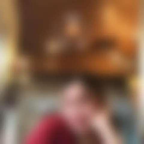 I**********n