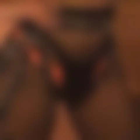 T***********s