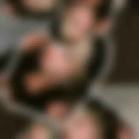 V******s