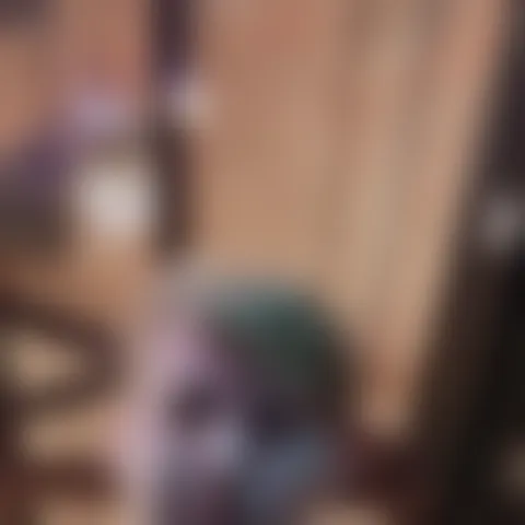 S********e