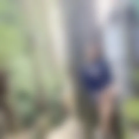 C************t