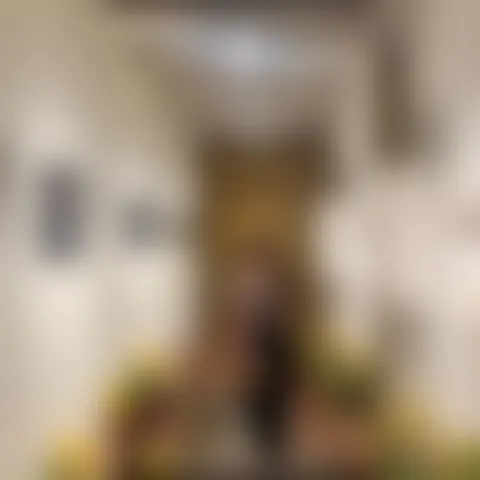 C***i