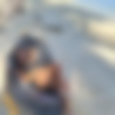 M*****e