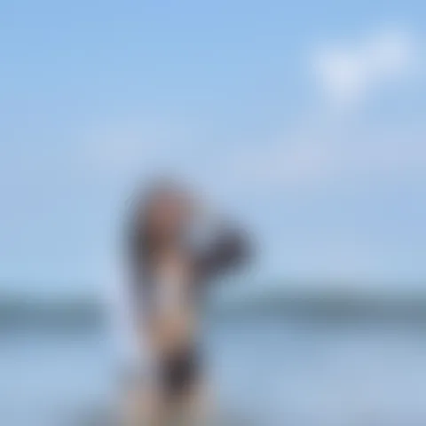 A*************d