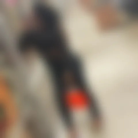 H***y