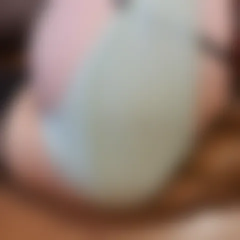 D**i