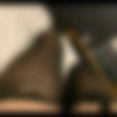 Z***s