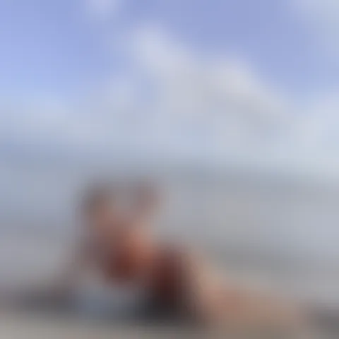E*********l