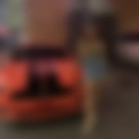 S*******e