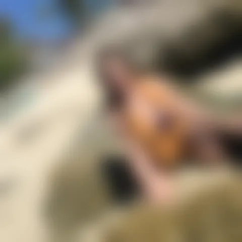 A********e