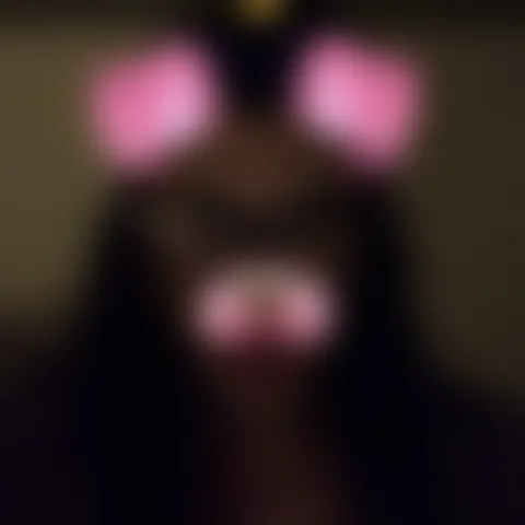 R******s