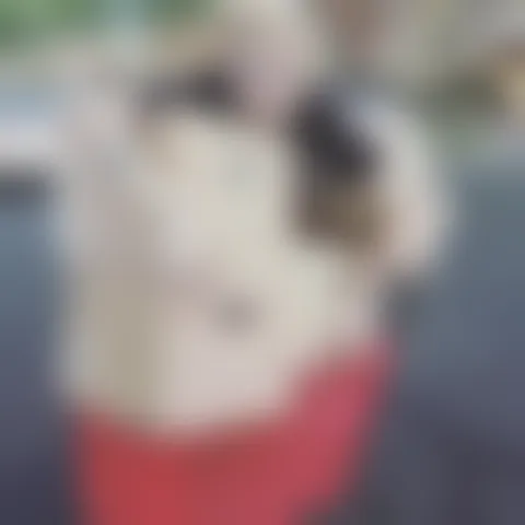 J*y