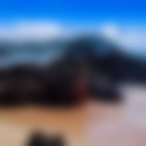 C******n