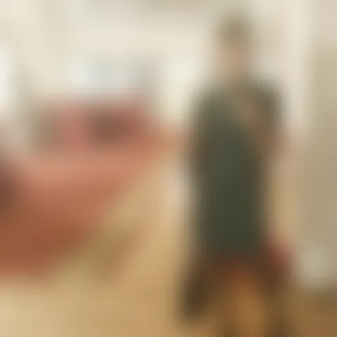 V*******a