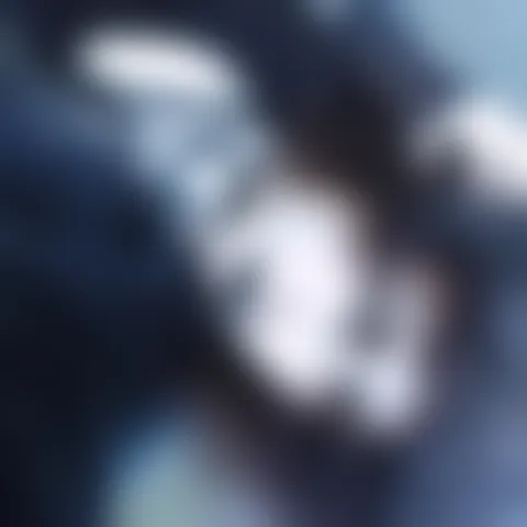 J***d