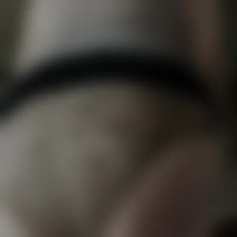 T**********n
