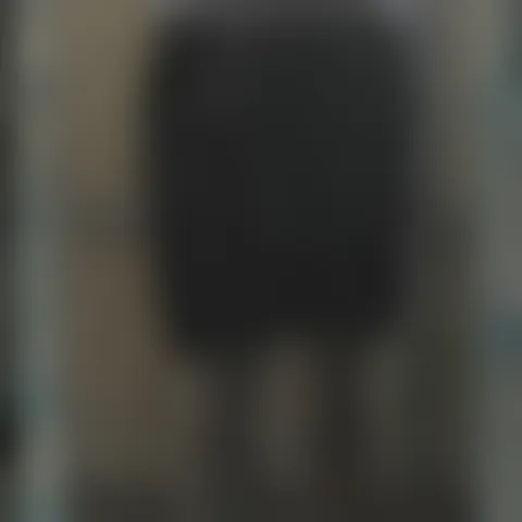 A***a