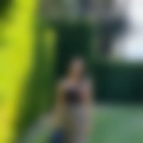 S***************a