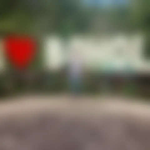 K*
