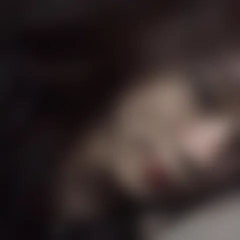 L***********a